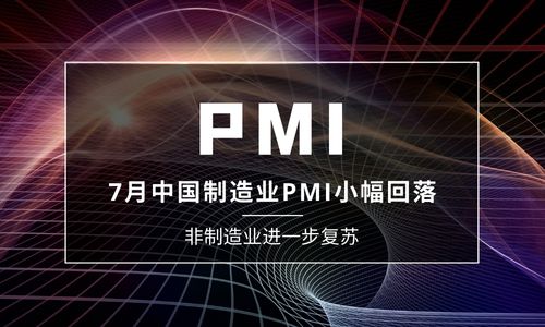 7月中國制造業(yè)PMI小幅回落至49